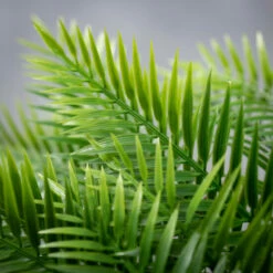 Best deal 🔥 Sullivans Artificial Full & Lavish Long Fern Bush 😀 -Sullivans Sales unnamed file 5071