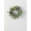 Top 10 ⭐ Sullivans Succulent Mini Wreath 💯