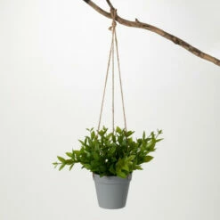 Best Sale ⭐ Sullivans Artificial Ruscus In Suspended Pot 😉