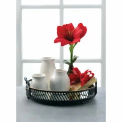 Hot Sale 😉 Sullivans Ceramic Mini Vase - Set Of 3 Off-white 👍 -Sullivans Sales unnamed file 51