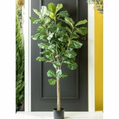 Wholesale 🛒 Sullivans Potted Fiddle Leaf Tree 🥰 -Sullivans Sales unnamed file 511