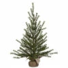 Best deal 🎁 Sullivans Pine Tree - 30" ⭐