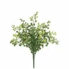 Best reviews of 🌟 Sullivans Maiden Hair Fern Bush - Green 🌟 -Sullivans Sales unnamed file 5122