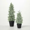 Buy 🌟 Sullivans Artificial Snowy Pine Tree In Pots - Set Of 2 - 5"L X 5"W X 16"H; 4.5"L X 4.5"W X 12"H 🤩 -Sullivans Sales unnamed file 5126