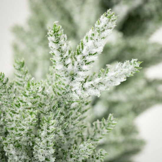 Buy ๐ Sullivans Artificial Snowy Pine Tree In Pots - Set Of 2 - 5"L X 5"W X 16"H; 4.5"L X 4.5"W X 12"H ๐คฉ 4 Buy ๐ Sullivans Artificial Snowy Pine Tree In Pots - Set Of 2 - 5"L X 5"W X 16"H; 4.5"L X 4.5"W X 12"H ๐คฉ - Image 2