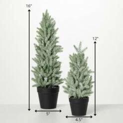 Buy ๐ Sullivans Artificial Snowy Pine Tree In Pots - Set Of 2 - 5"L X 5"W X 16"H; 4.5"L X 4.5"W X 12"H ๐คฉ 9 Buy ๐ Sullivans Artificial Snowy Pine Tree In Pots - Set Of 2 - 5"L X 5"W X 16"H; 4.5"L X 4.5"W X 12"H ๐คฉ -Sullivans Sales unnamed file 5129