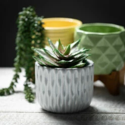 Outlet ⭐ Sullivans Citrus Glazed Planter On Stand - 4.5"L X 4.5"W X 5.25"H 🔔 -Sullivans Sales unnamed file 5144