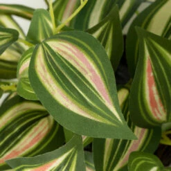 Discount 🎁 Sullivans Artificial 25" Inch Plant Wreath 🔔 -Sullivans Sales unnamed file 5148