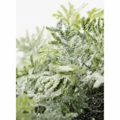 Discount 🧨 Sullivans 24" Frosted Fern & Cone Artificial Wreath 😉 -Sullivans Sales unnamed file 5159