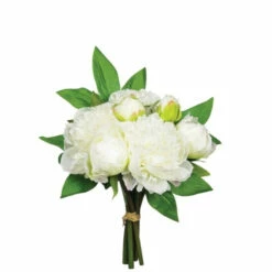 Best Sale 🥰 Sullivans Peony Bush - White 🎉
