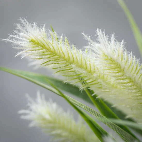 New ๐ Sullivans Artificial Fuzzy Fox Tail Grass Bush ๐ 4 New ๐ Sullivans Artificial Fuzzy Fox Tail Grass Bush ๐ - Image 2