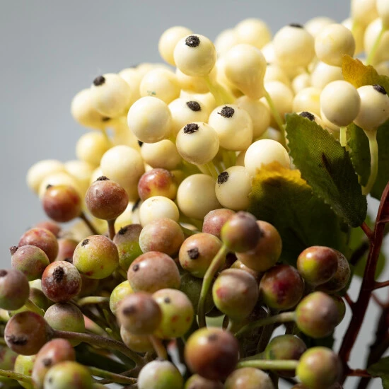 Hot Sale ❤️ Sullivans Artificial Neutral Berry Stem - Set Of 2 ⌛ 4 Hot Sale ❤️ Sullivans Artificial Neutral Berry Stem - Set Of 2 ⌛ - Image 2