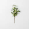 Cheap โ Sullivans Artificial Ruscus Leafy Twig Stem ๐ฅ 2 Cheap โ Sullivans Artificial Ruscus Leafy Twig Stem ๐ฅ -Sullivans Sales unnamed file 5265
