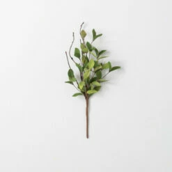 Cheap ⌛ Sullivans Artificial Ruscus Leafy Twig Stem 🔥