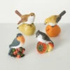 Hot Sale 🧨 Sullivans Colorful Bird Resting On Fruit - Set Of 4 💯 -Sullivans Sales unnamed file 5280