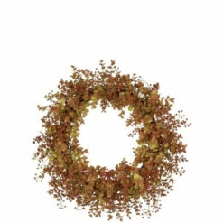 Top 10 👍 Sullivans Eucalyptus Wreath ⭐