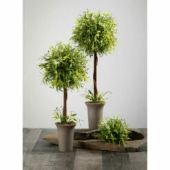 Outlet 🥰 Sullivans Smilax Orb 🎁 -Sullivans Sales unnamed file 5327