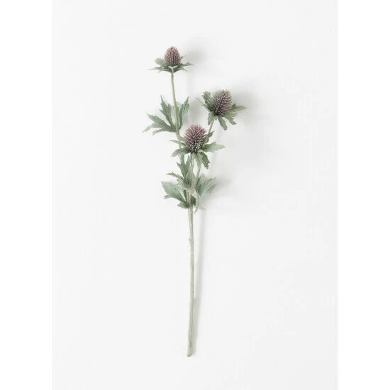 Outlet 💯 Sullivans Thistle Stem 😀 3 Outlet 💯 Sullivans Thistle Stem 😀