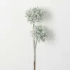 Coupon 😀 Sullivans 24" Artificial Frosted Queen Anne's Lace Stem 👏 -Sullivans Sales unnamed file 5456