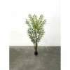 New 💯 Sullivans Potted Fern ✔️ -Sullivans Sales unnamed file 5529