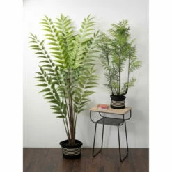 New 💯 Sullivans Potted Fern ✔️ -Sullivans Sales unnamed file 5531