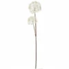 Wholesale 🎁 Sullivans Dandelion Stem 🥰 -Sullivans Sales unnamed file 5532