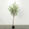 Coupon 🔔 Sullivans Artificial Mountain Leaf Potted Tree ✨ -Sullivans Sales unnamed file 5547
