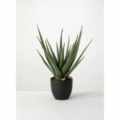 Outlet ✨ Sullivans Potted Aloe 🎉