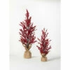 Buy ๐ฏ Sullivans Berry Artificial Tree - Set Of 2 - 10"L X 10"W X 22"H; 10"L X 10"W X 36"H ๐ 1 Buy ๐ฏ Sullivans Berry Artificial Tree - Set Of 2 - 10"L X 10"W X 22"H; 10"L X 10"W X 36"H ๐ -Sullivans Sales unnamed file 5708