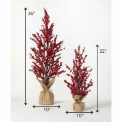 Buy 💯 Sullivans Berry Artificial Tree - Set Of 2 - 10"L X 10"W X 22"H; 10"L X 10"W X 36"H 🌟 -Sullivans Sales unnamed file 5710