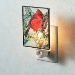 Best Sale 🔥 Sullivans Cardinal Nightlight 🛒