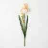 Brand new ⌛ Sullivans Artificial Peachy Blooming Iris Stem 🧨 -Sullivans Sales unnamed file 5725