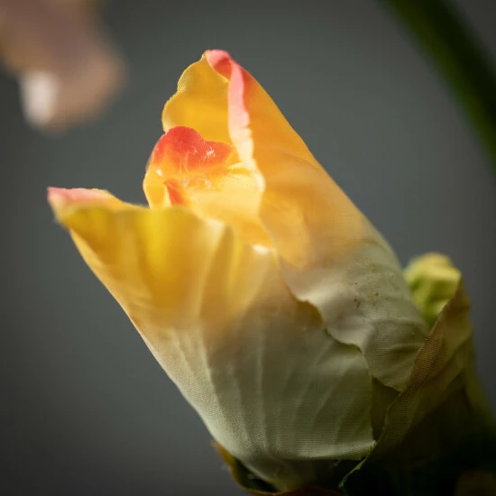 Brand new โ Sullivans Artificial Peachy Blooming Iris Stem ๐งจ 4 Brand new โ Sullivans Artificial Peachy Blooming Iris Stem ๐งจ - Image 2