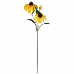 Best deal ✨ Sullivans Black-Eyed Susan Stem ⭐