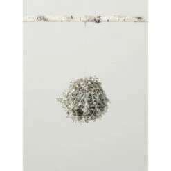 Flash Sale 🎉 Sullivans Iced Ball Ornament 🛒