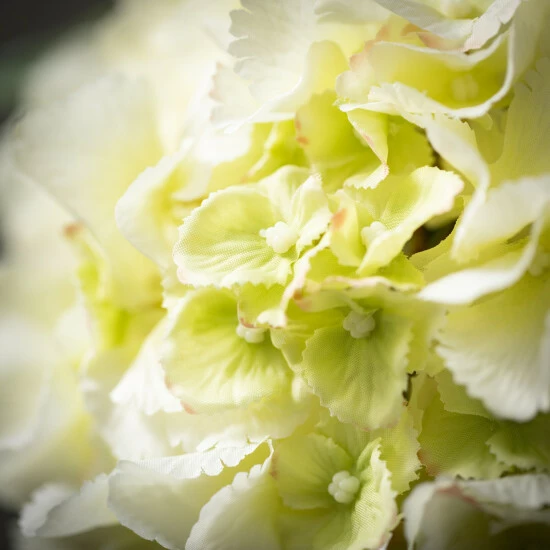 Best deal ๐ฅฐ Sullivans Artificial Creamy-White Hydrangea Bloom โญ 4 Best deal ๐ฅฐ Sullivans Artificial Creamy-White Hydrangea Bloom โญ - Image 2