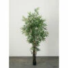 Flash Sale 👏 Sullivans 6'4H Bamboo Tree - Green 😀 -Sullivans Sales unnamed file 5804