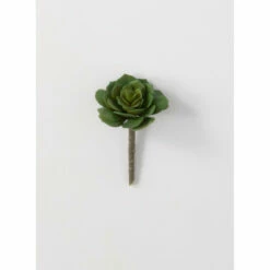 Top 10 🔥 Sullivans Succulent Pick - 4"L X 4"W X 5.5"H; 5.5"L ⭐