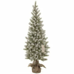 Wholesale 👏 Sullivans 4'2H Frosted Pine Tree ✔️