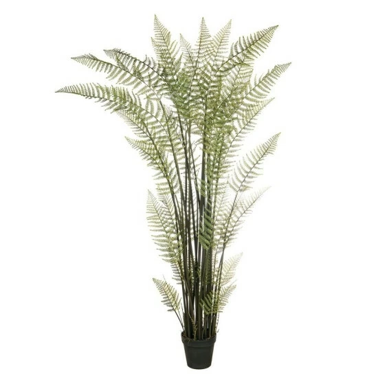 Deals ๐งจ Sullivans 8' Potted Fern ๐ 3 Deals ๐งจ Sullivans 8' Potted Fern ๐
