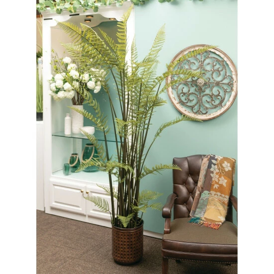 Deals ๐งจ Sullivans 8' Potted Fern ๐ 4 Deals ๐งจ Sullivans 8' Potted Fern ๐ - Image 2