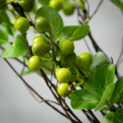 Brand new ๐ Sullivans Artificial Chartreuse Full Berry Stem ๐ 6 Brand new ๐ Sullivans Artificial Chartreuse Full Berry Stem ๐ -Sullivans Sales unnamed file 5937