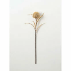 Discount 🧨 Sullivans Fall Banksia Spray ⭐