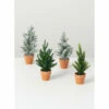 Cheapest 🧨 Sullivans Mini Potted Trees - Set Of 4 🎁 -Sullivans Sales unnamed file 6100