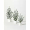 Buy 🎉 Sullivans Snowy Pine Artificial Tree - Set Of 3 - 12"Lx12"Wx21.5"H; 9"Lx9"Wx18.5"H; 9"Lx9"Wx14"H 😉