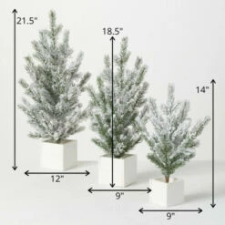 Buy 🎉 Sullivans Snowy Pine Artificial Tree - Set Of 3 - 12"Lx12"Wx21.5"H; 9"Lx9"Wx18.5"H; 9"Lx9"Wx14"H 😉 -Sullivans Sales unnamed file 6123