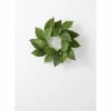 Flash Sale ✔️ Sullivans Artificial 18" Salal Leaf Mini Wreath ✨ -Sullivans Sales unnamed file 6185