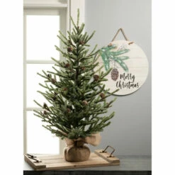 Coupon 😉 Sullivans Merry ❄ Christmas Wall Decor 🧨 -Sullivans Sales unnamed file 627
