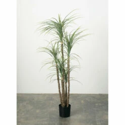 New 😍 Sullivans Maguey Tree - Green ⌛