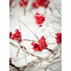 Cheapest 🥰 Sullivans 5' Berry & Birch Twig Artificial Garland 👍 -Sullivans Sales unnamed file 6296